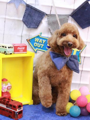 20230402テディくん